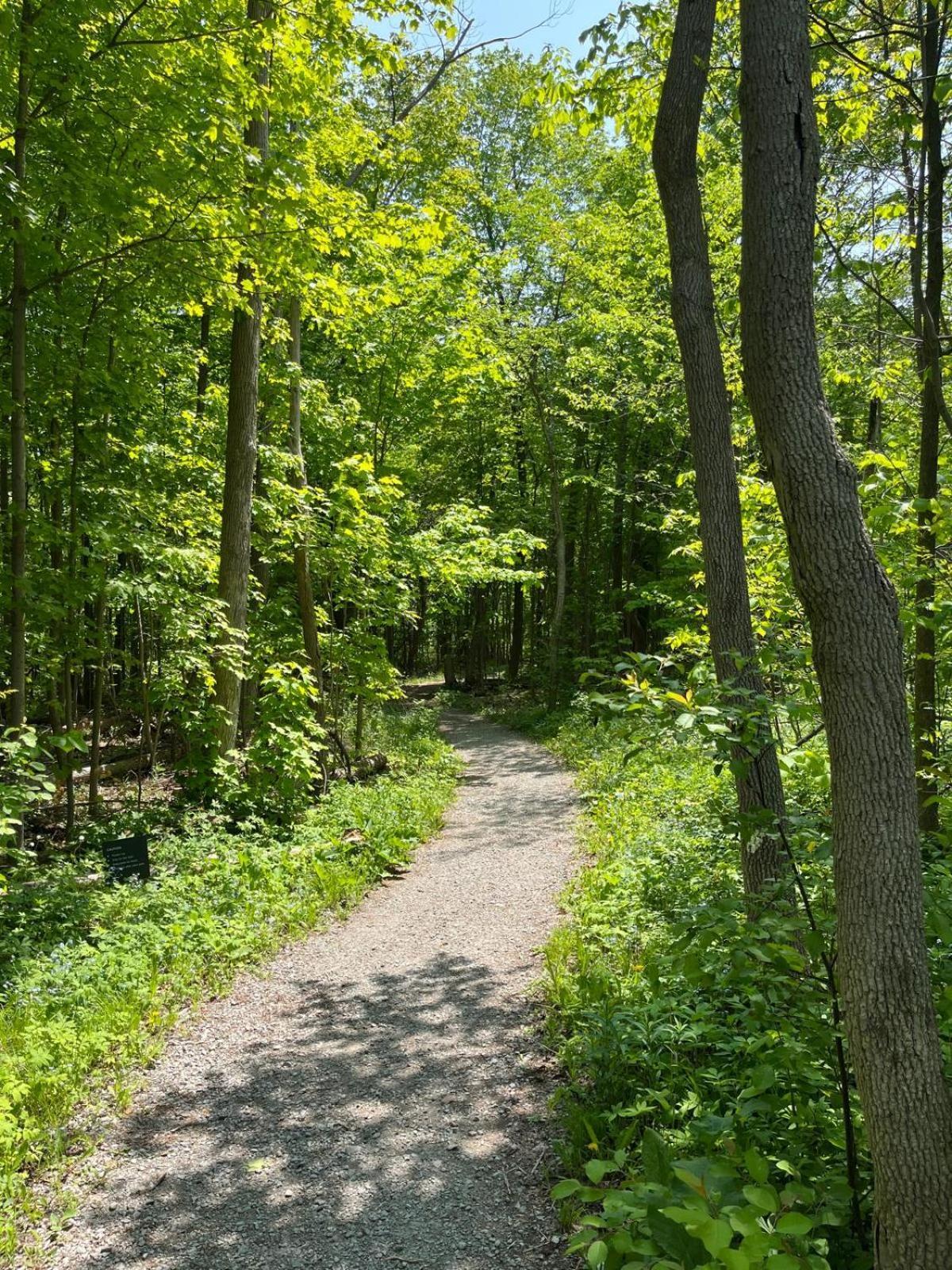 Stunning Stayz At Friday Harbour Beach Marina Resort Lake Simcoe Innisfil Экстерьер фото
